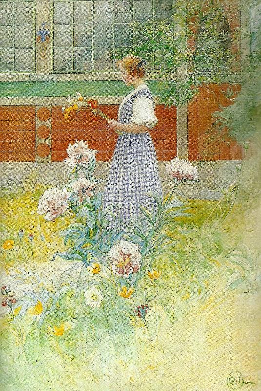 Carl Larsson lisbeth och pioner-lisbeth med pioner-pioner